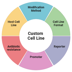 Customizable cell line service overview